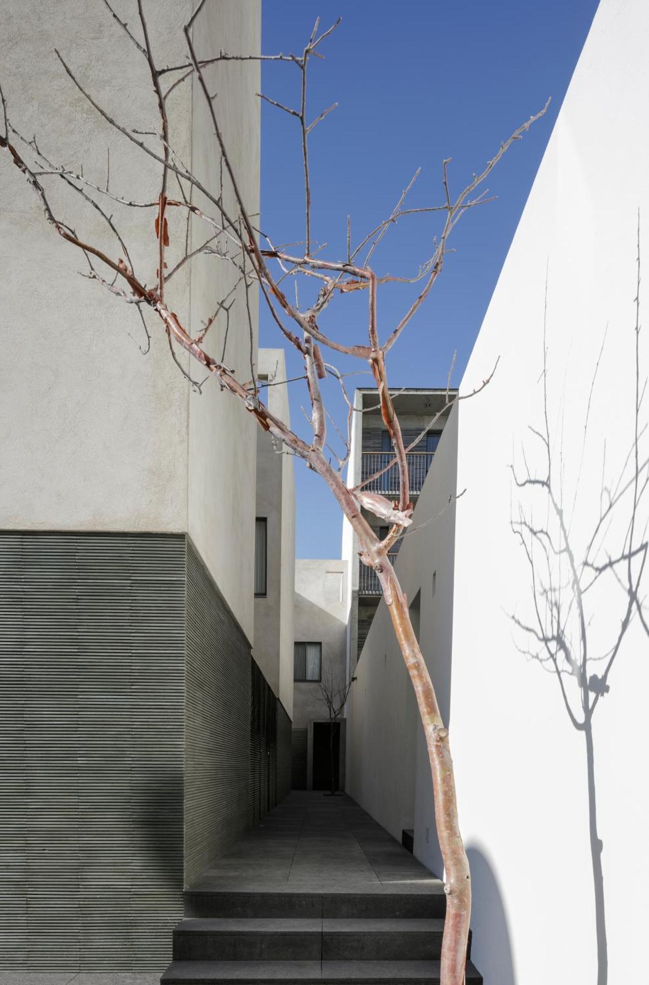 Suites Everness Guadalajara Eksteriør billede